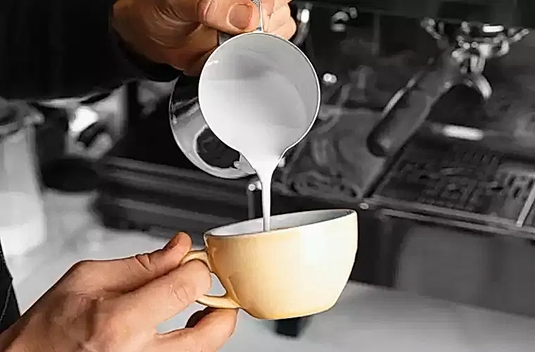 SCA ve MEB Sertifikalı Barista Eğitimi